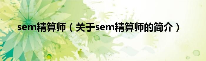 sem精算师（关于sem精算师的简介）