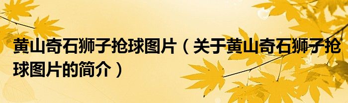黄山奇石狮子抢球图片（关于黄山奇石狮子抢球图片的简介）