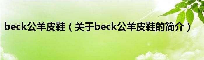beck公羊皮鞋（关于beck公羊皮鞋的简介）