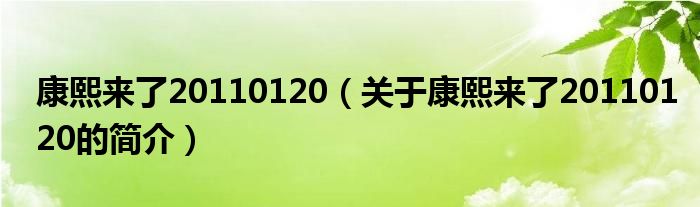 康熙来了20110120（关于康熙来了20110120的简介）