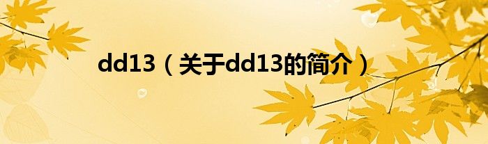 dd13（关于dd13的简介）