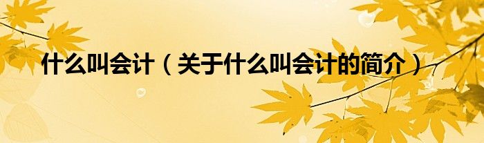什么叫会计（关于什么叫会计的简介）