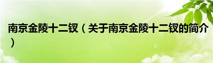 南京金陵十二钗（关于南京金陵十二钗的简介）