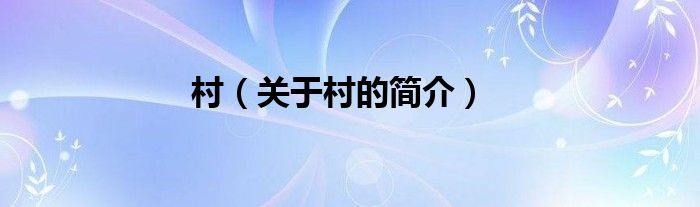 村（关于村的简介）