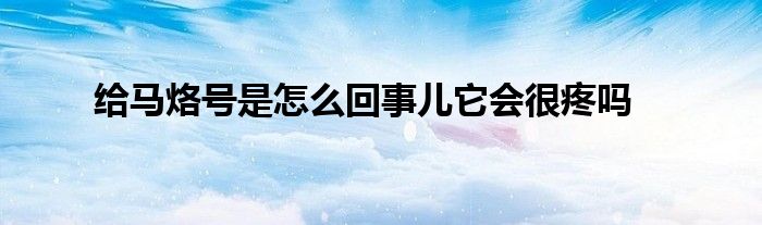 给马烙号是怎么回事儿它会很疼吗