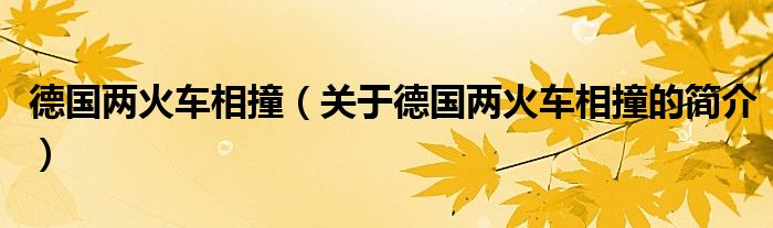 德国两火车相撞（关于德国两火车相撞的简介）