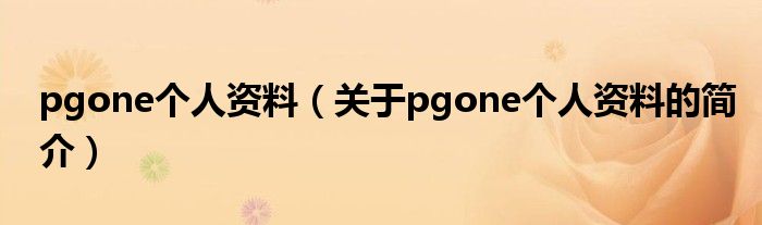 pgone个人资料（关于pgone个人资料的简介）
