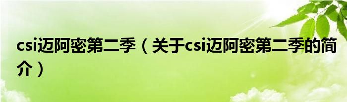 csi迈阿密第二季（关于csi迈阿密第二季的简介）