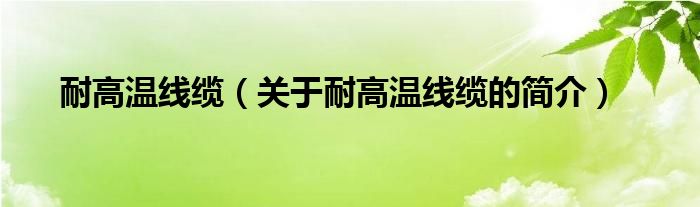 耐高温线缆（关于耐高温线缆的简介）
