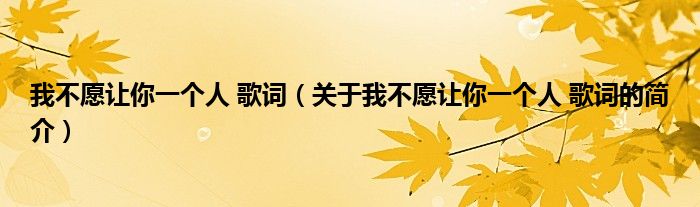 我不愿让你一个人 歌词（关于我不愿让你一个人 歌词的简介）