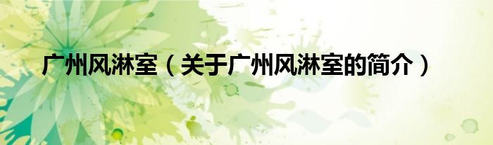 广州风淋室（关于广州风淋室的简介）