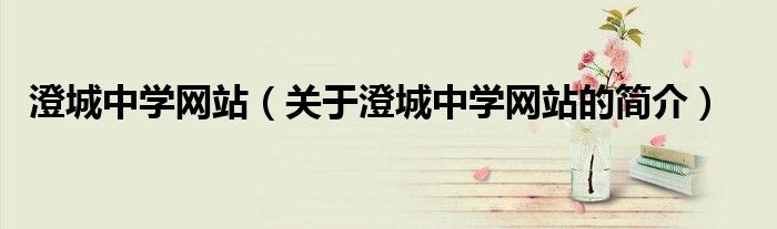 澄城中学网站（关于澄城中学网站的简介）