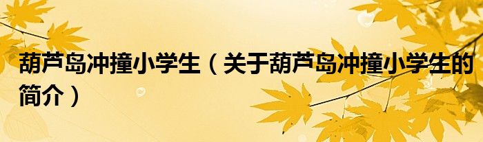 葫芦岛冲撞小学生（关于葫芦岛冲撞小学生的简介）