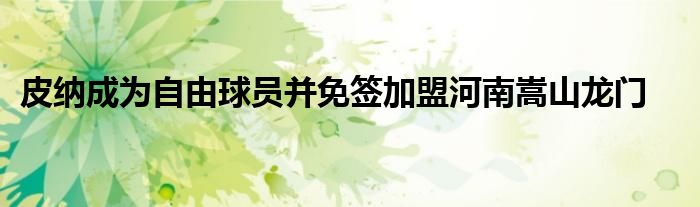 皮纳成为自由球员并免签加盟河南嵩山龙门