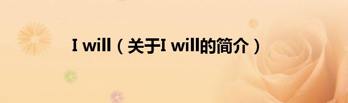 I will（关于I will的简介）