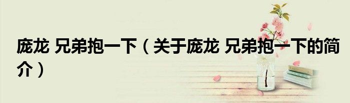 庞龙 兄弟抱一下（关于庞龙 兄弟抱一下的简介）