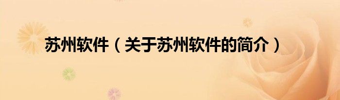 苏州软件（关于苏州软件的简介）
