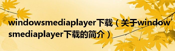 windowsmediaplayer下载（关于windowsmediaplayer下载的简介）