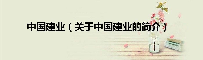 中国建业（关于中国建业的简介）