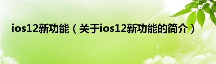 ios12新功能（关于ios12新功能的简介）