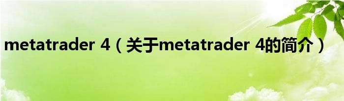 metatrader 4（关于metatrader 4的简介）