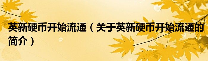 英新硬币开始流通（关于英新硬币开始流通的简介）