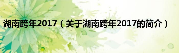 湖南跨年2017（关于湖南跨年2017的简介）