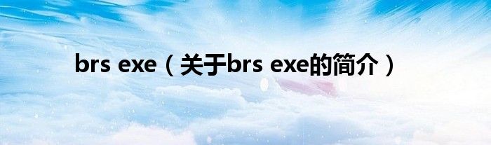 brs exe（关于brs exe的简介）