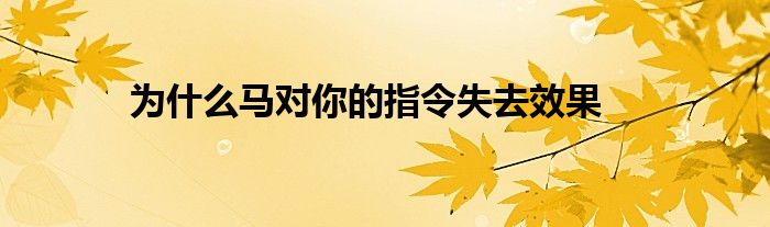 为什么马对你的指令失去效果