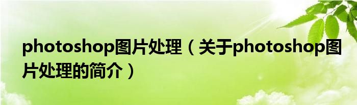 photoshop图片处理（关于photoshop图片处理的简介）