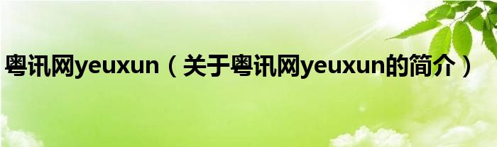 粤讯网yeuxun（关于粤讯网yeuxun的简介）