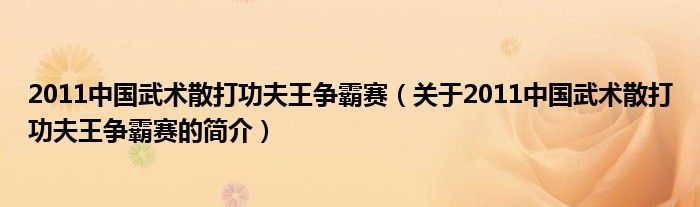 2011中国武术散打功夫王争霸赛（关于2011中国武术散打功夫王争霸赛的简介）