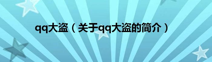 qq大盗（关于qq大盗的简介）