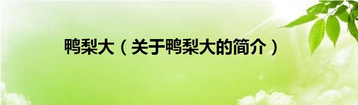 鸭梨大（关于鸭梨大的简介）