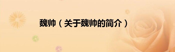 魏帅（关于魏帅的简介）