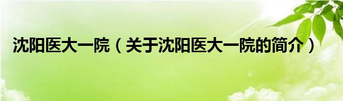 沈阳医大一院（关于沈阳医大一院的简介）