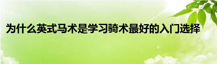 为什么英式马术是学习骑术最好的入门选择