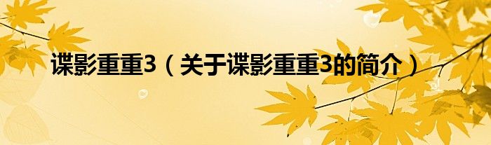谍影重重3（关于谍影重重3的简介）
