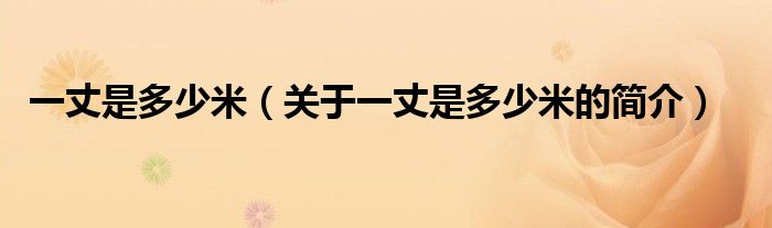 一丈是多少米（关于一丈是多少米的简介）