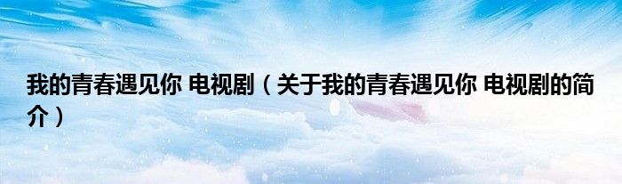 我的青春遇见你 电视剧（关于我的青春遇见你 电视剧的简介）