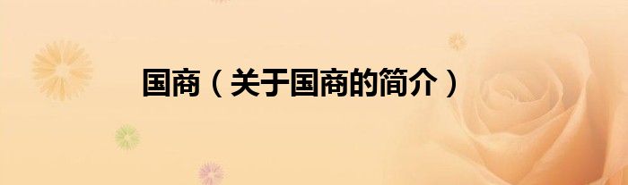 国商（关于国商的简介）