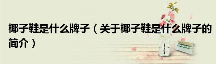 椰子鞋是什么牌子（关于椰子鞋是什么牌子的简介）