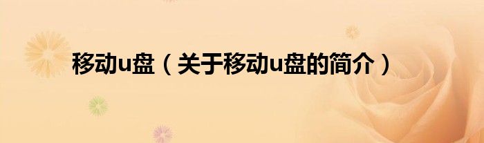 移动u盘（关于移动u盘的简介）