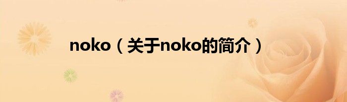 noko（关于noko的简介）