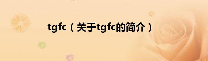 tgfc（关于tgfc的简介）