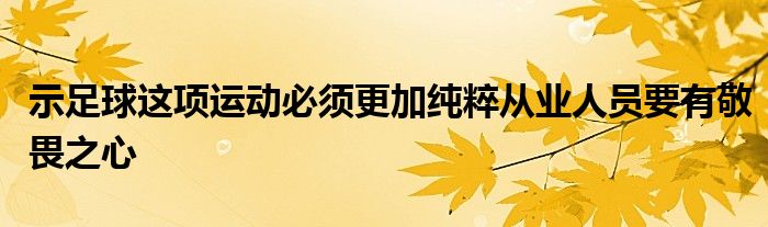 示足球这项运动必须更加纯粹从业人员要有敬畏之心
