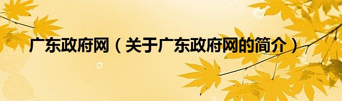 广东政府网（关于广东政府网的简介）