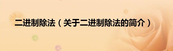 二进制除法（关于二进制除法的简介）