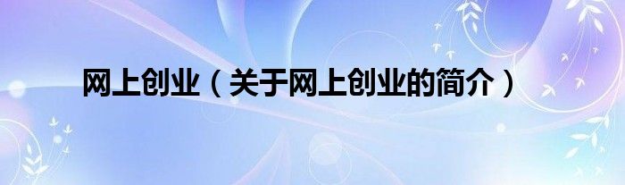 网上创业（关于网上创业的简介）