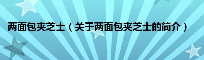 两面包夹芝士（关于两面包夹芝士的简介）